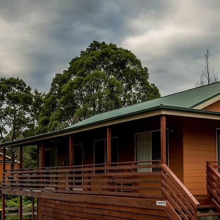 Driftwood Strahan Villas Bagian luar foto